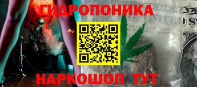 индика Анжеро-Судженск