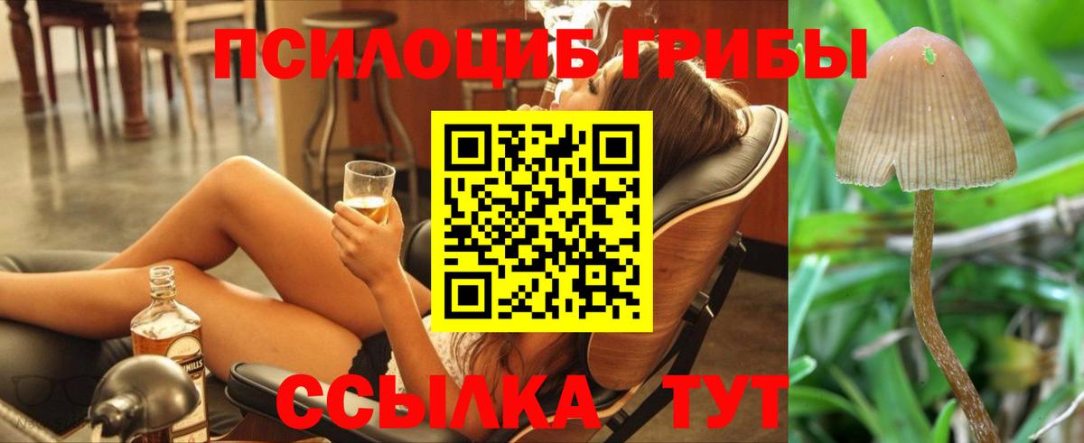 Псилоцибиновые грибы Magic Shrooms  Вход с VPN  Галлюциногенные грибы Magic Shrooms  Новороссийск 